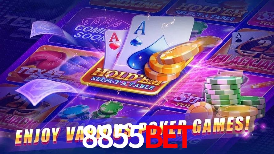 Interface Premium 8855bet